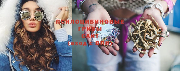 спиды Аркадак
