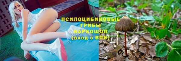 спиды Аркадак