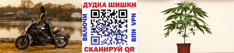 сколько стоит  KRAKEN зеркало  Шишки марихуана сатива  Обоянь 